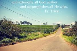 The Spirituality of Fr. Triest on the three vows
