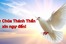 Lạy Thánh Thần Chúa xin ngự đến