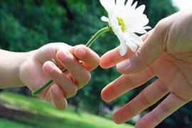 Nếu cả đời này không rực rỡ…