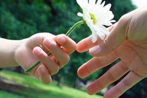 Nếu cả đời này không rực rỡ…